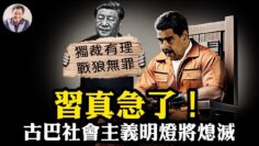 [ID: Tnygza14Drg] Youtube Automatic