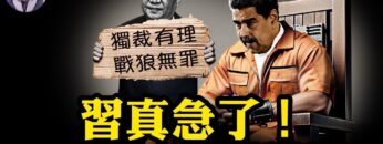 [ID: Tnygza14Drg] Youtube Automatic