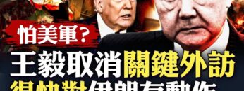 [ID: UTNSkez2ro8] Youtube Automatic