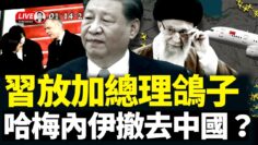 [ID: vT_exZ94QxI] Youtube Automatic