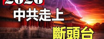 [ID: X7i-IkIxrJ0] Youtube Automatic